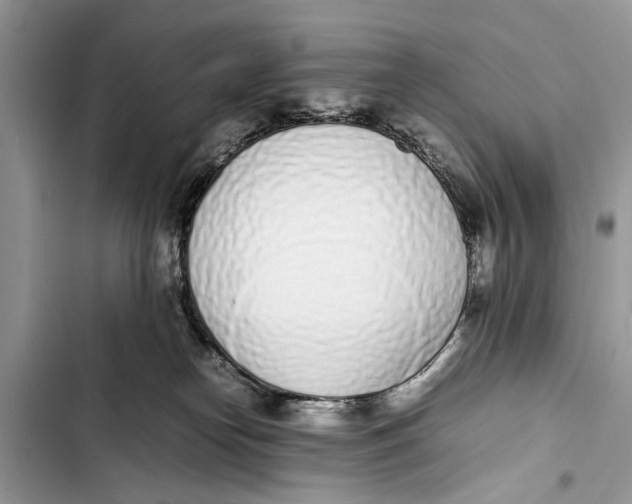 X0000103450182200810031444