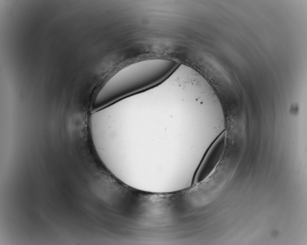 X0000103450184200810031444