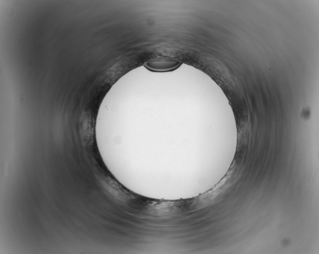 X0000103450186200810031444