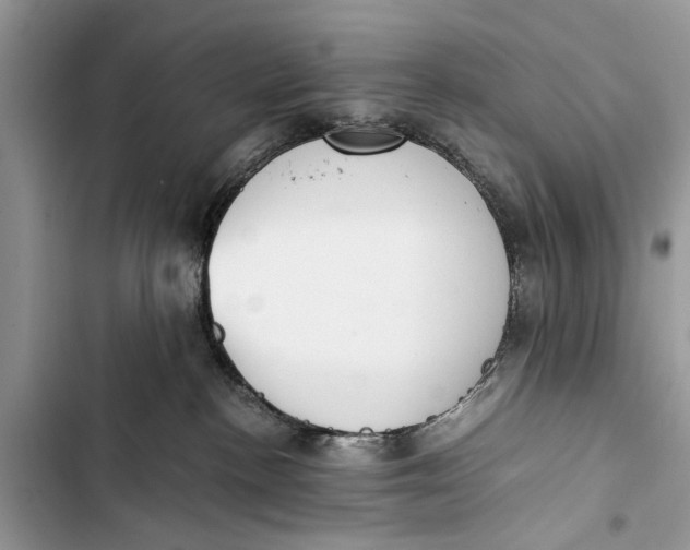 X0000103450188200810031444