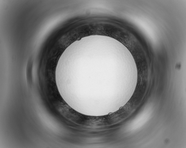 X0000103450189200810031444