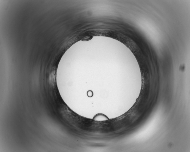 X0000103450190200810031444