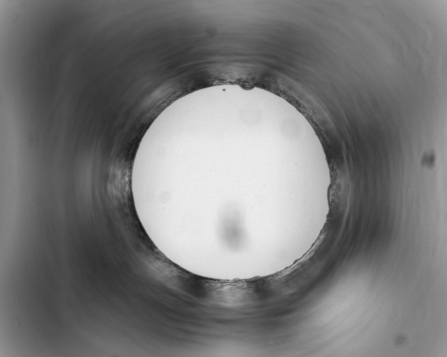 X0000103450191200810031444