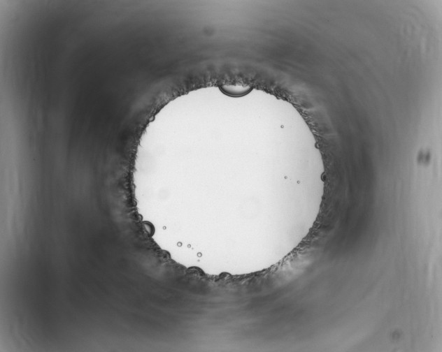 X0000103450192200810031444