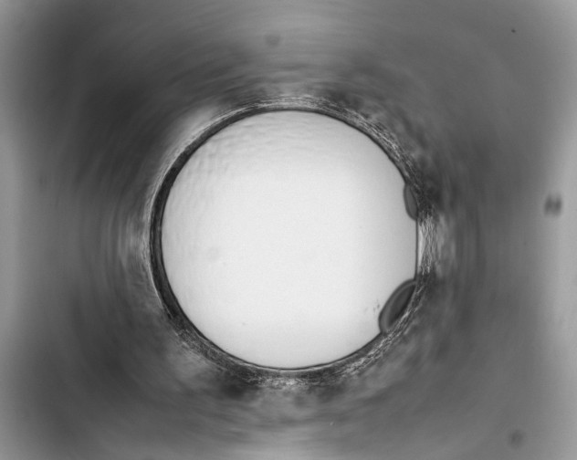 X0000103450195200810031443