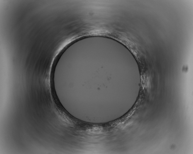 X0000103450196200810031443