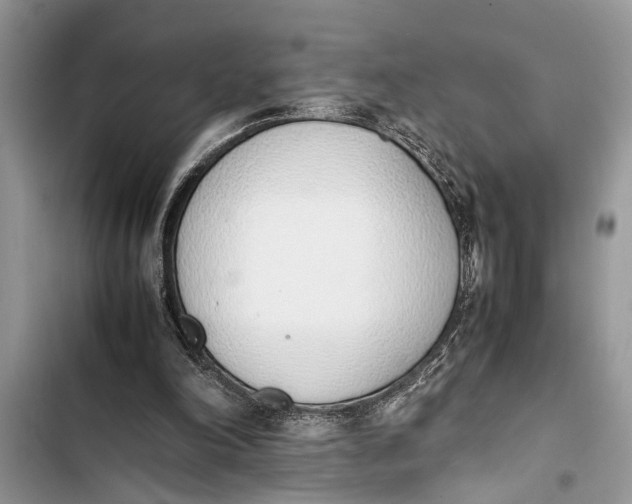 X0000103450198200810031443