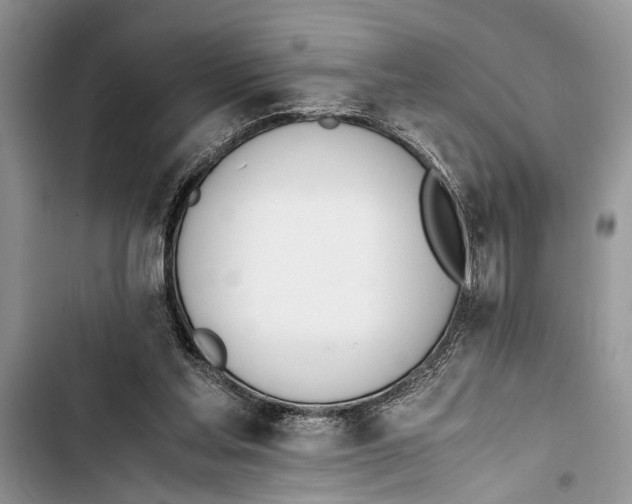 X0000103450205200810031443