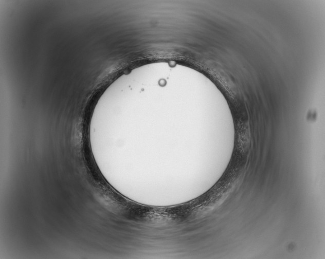 X0000103450207200810031443