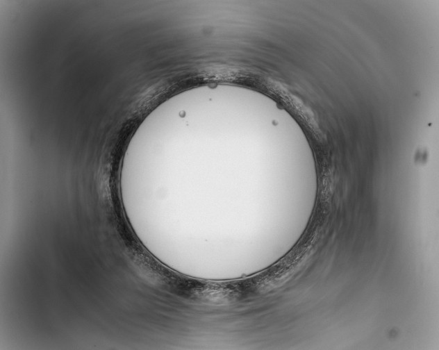 X0000103450209200810031443