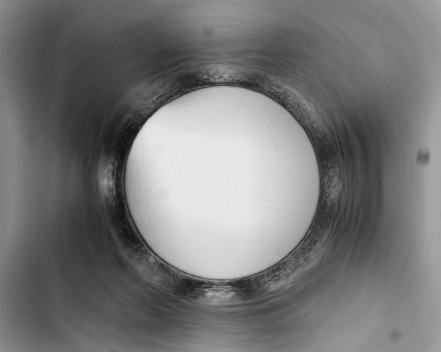 X0000103450214200810031443