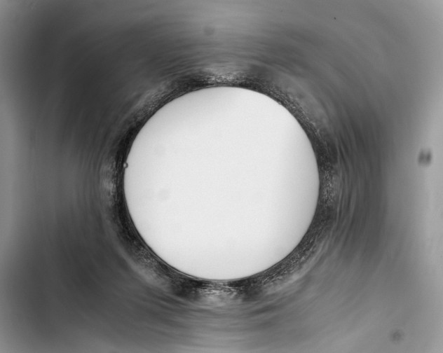 X0000103450215200810031443