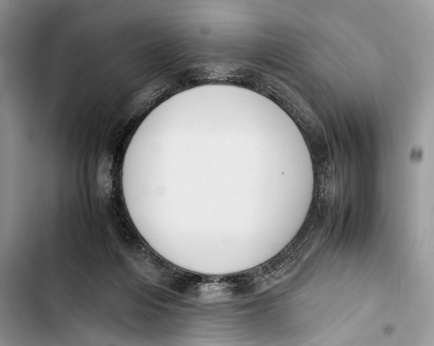 X0000103450216200810031443