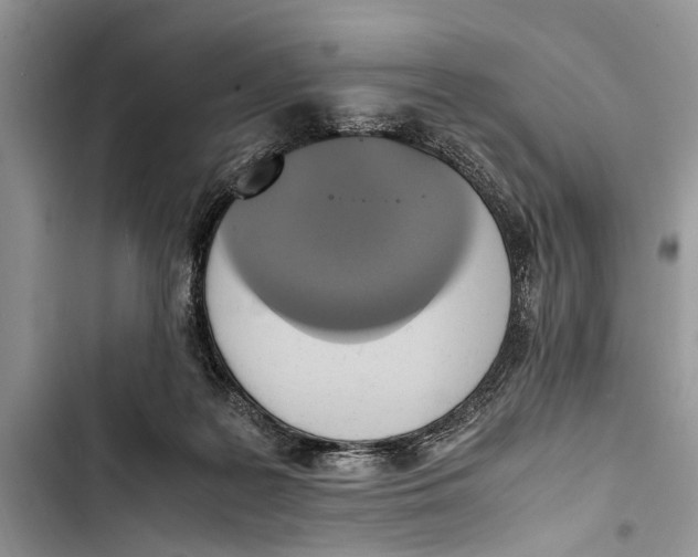 X0000103450219200810031443