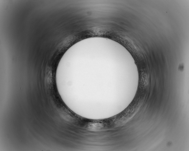 X0000103450220200810031443