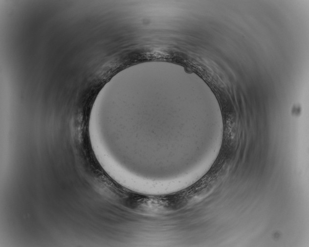 X0000103450223200810031443