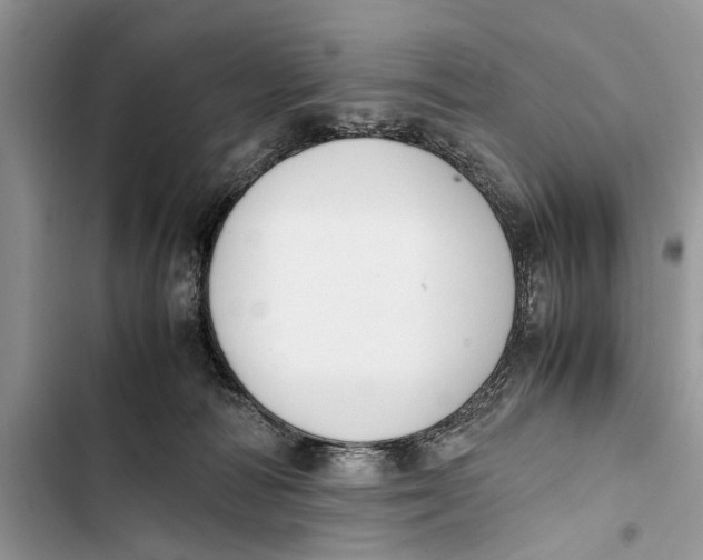 X0000103450226200810031443