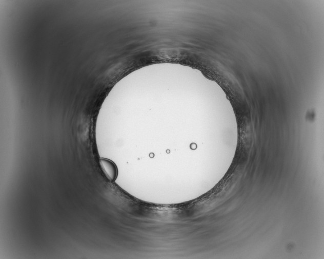 X0000103450233200810031443