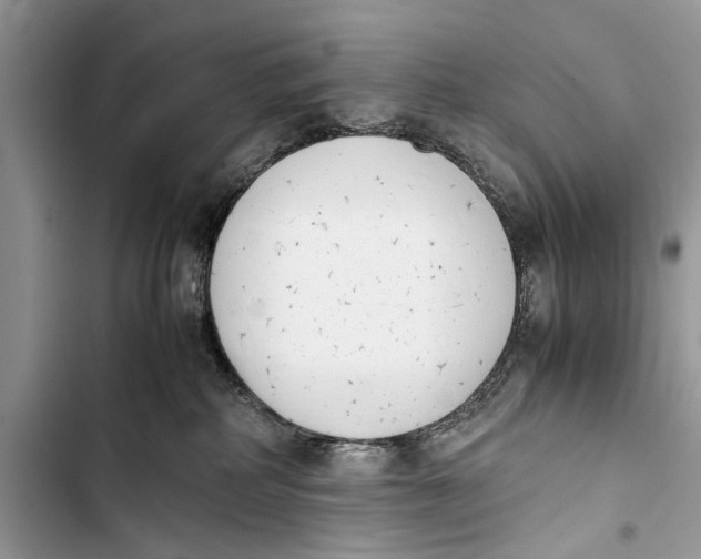 X0000103450234200810031443