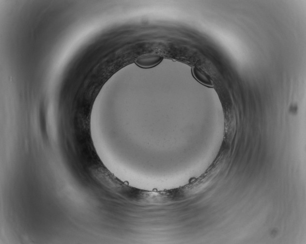 X0000103450239200810031443