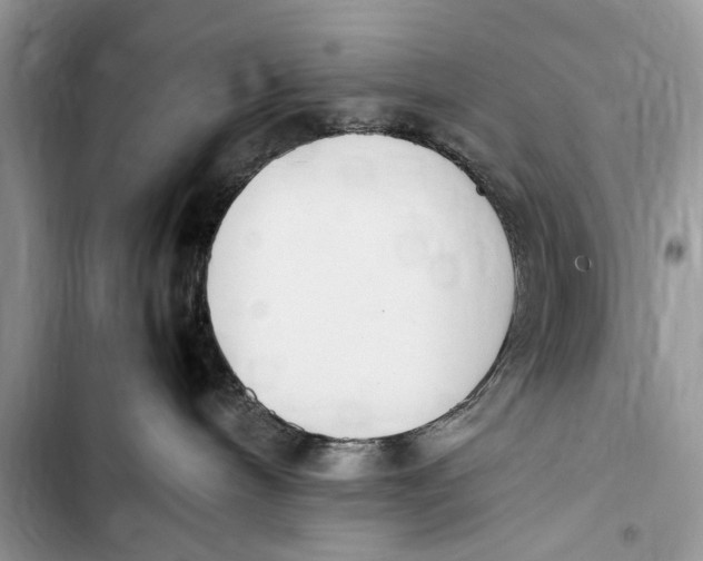 X0000103450240200810031443