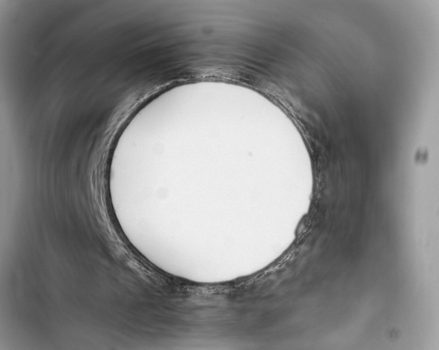 X0000103450241200810031442