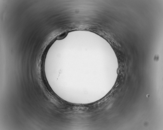 X0000103450242200810031442