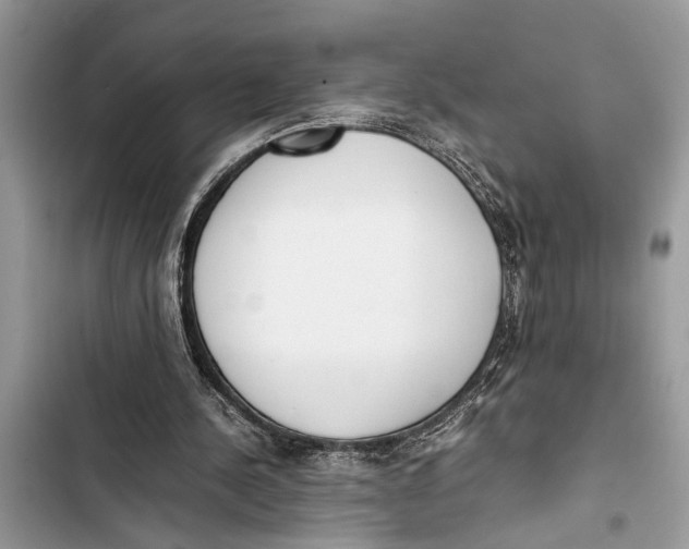 X0000103450244200810031442