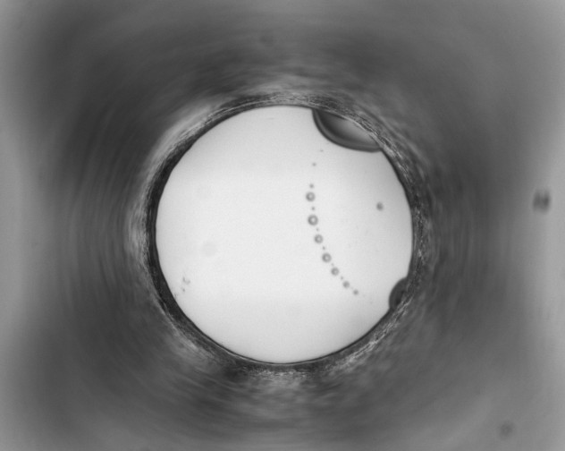 X0000103450245200810031442