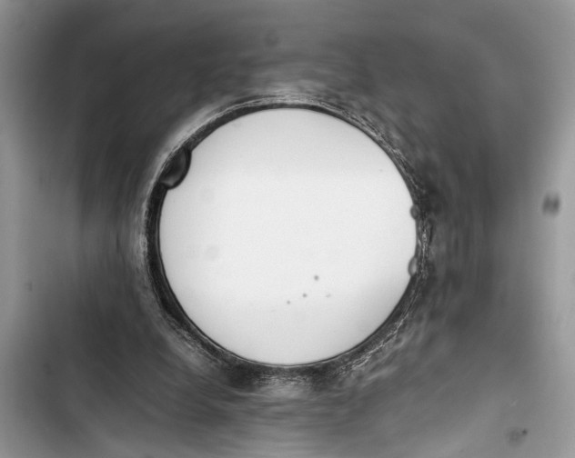 X0000103450248200810031442