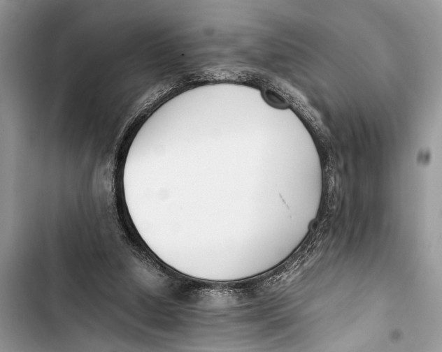 X0000103450250200810031442