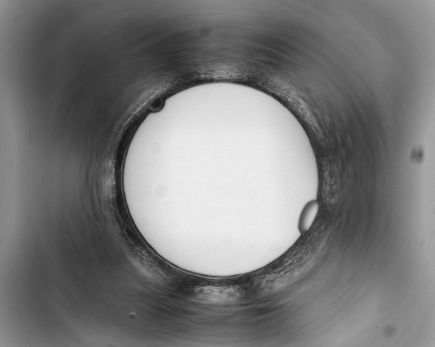 X0000103450251200810031442