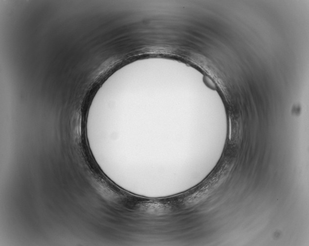 X0000103450253200810031442