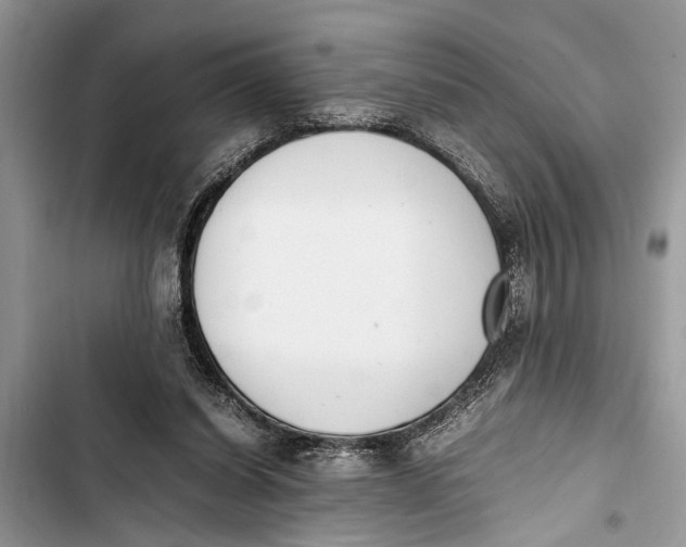 X0000103450254200810031442