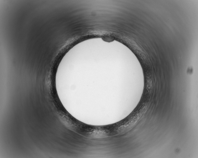 X0000103450256200810031442