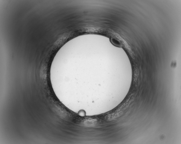 X0000103450257200810031442