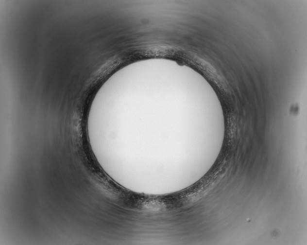 X0000103450258200810031442