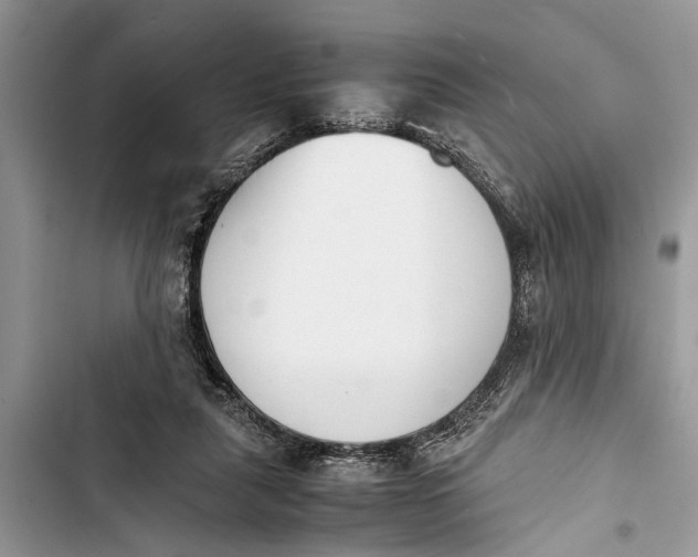 X0000103450259200810031442