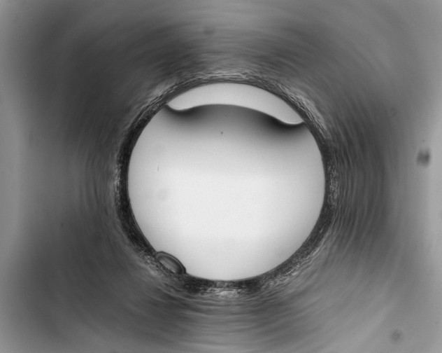 X0000103450260200810031442