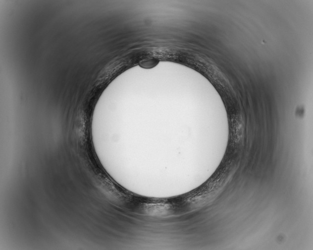 X0000103450266200810031442