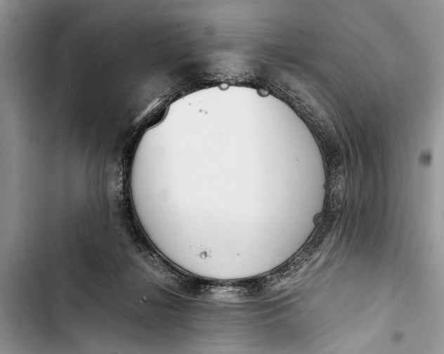 X0000103450268200810031442