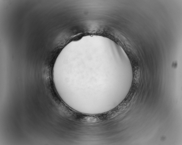 X0000103450272200810031442