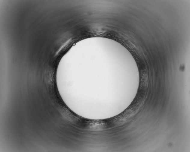 X0000103450274200810031442