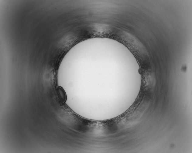 X0000103450276200810031442