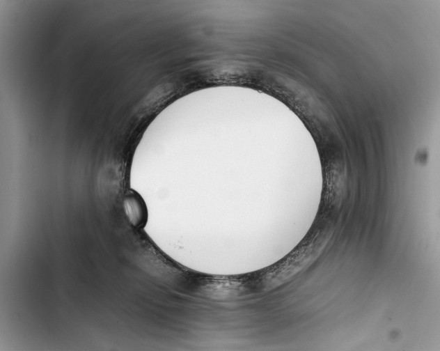 X0000103450278200810031442