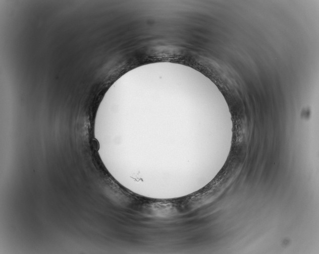 X0000103450279200810031442