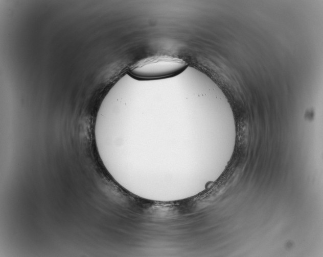 X0000103450280200810031442