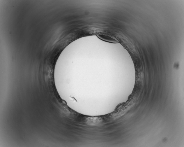 X0000103450281200810031442