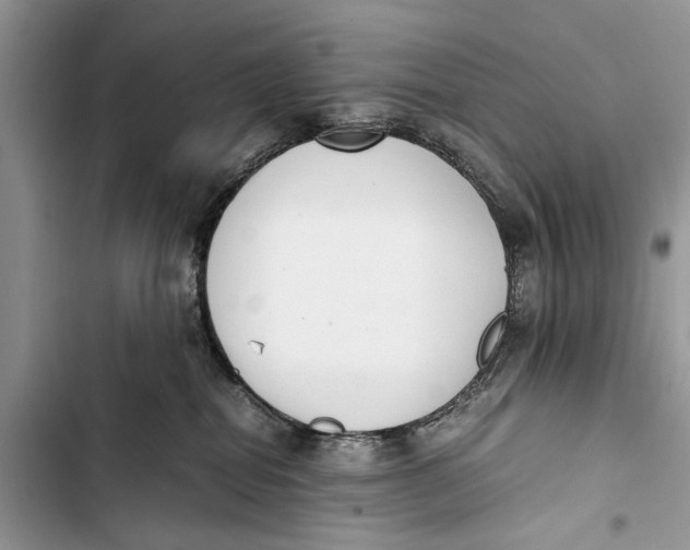 X0000103450282200810031443