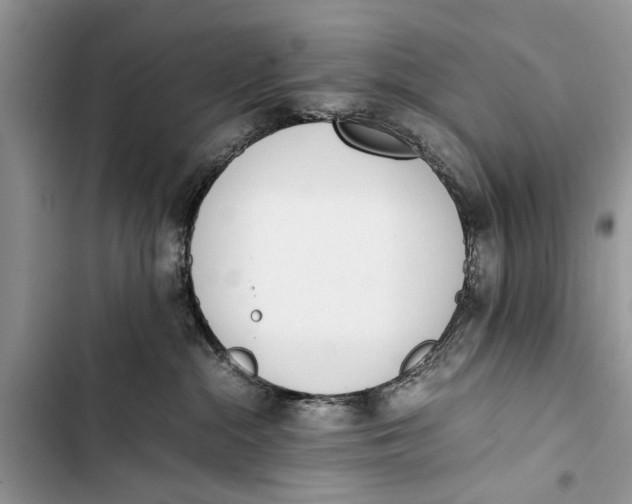 X0000103450284200810031443